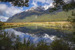 New Zealand 2025 (1 group) (31/66)